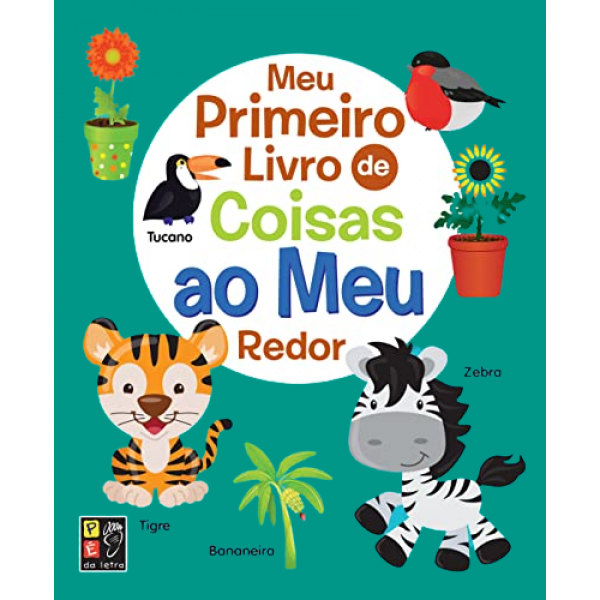 MEU PRIMEIRO LIVRO - COISAS AO MEU REDOR