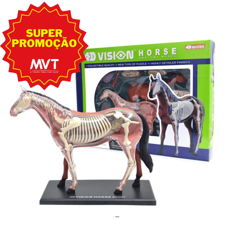 MODELO ANATOMICO CAVALO 4D MASTER