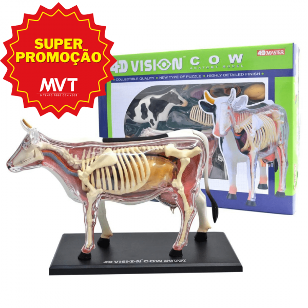 MODELO ANATOMICO VACA 4D MASTER